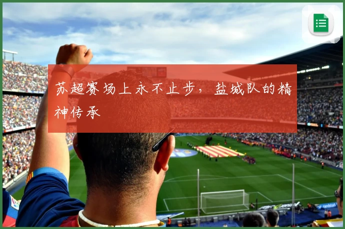 苏超赛场上永不止步，盐城队的精神传承