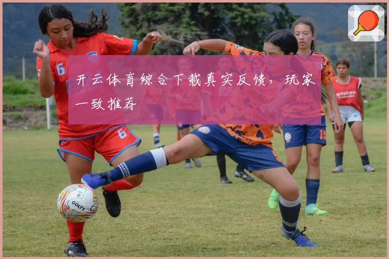 开云体育综合下载真实反馈，玩家一致推荐