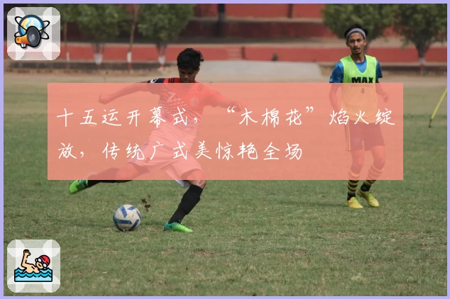 十五运开幕式，“木棉花”焰火绽放，传统广式美惊艳全场