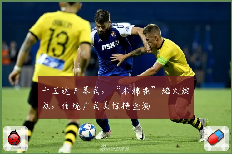 十五运开幕式，“木棉花”焰火绽放，传统广式美惊艳全场