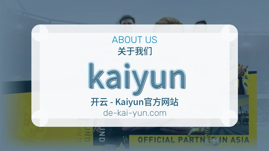 kaiyun服务说明